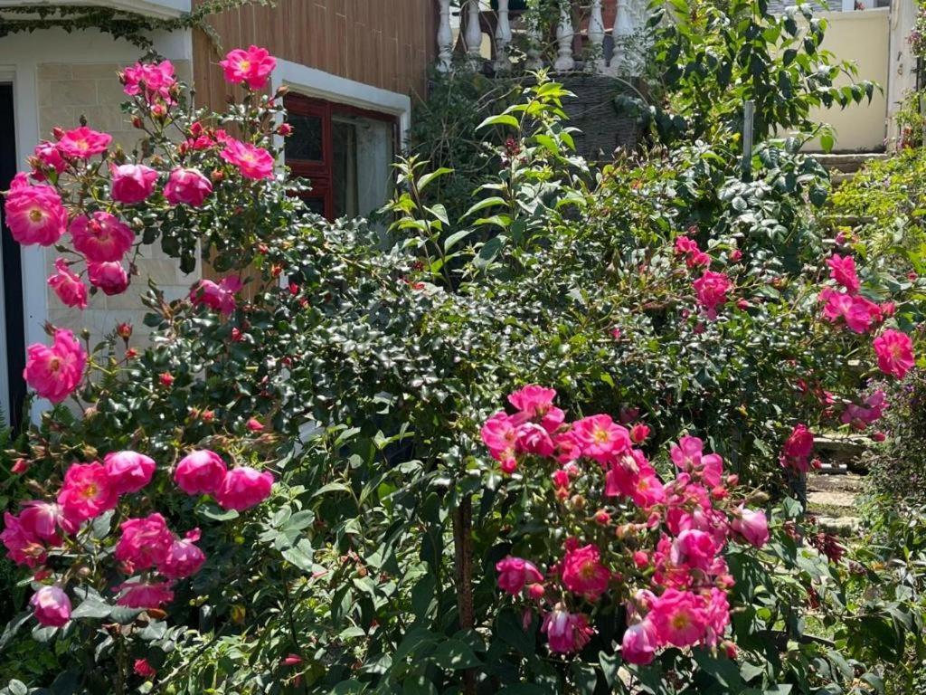 La Roza Dalat Boutique Hotel Luaran gambar
