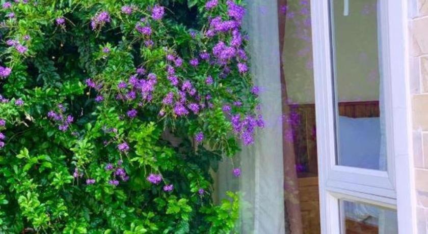 La Roza Dalat Boutique Hotel Luaran gambar